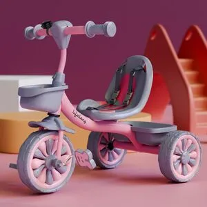 Lifelong Trike Cycle for Kids.